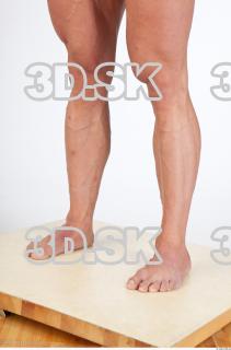 Leg texture of Dale 0005